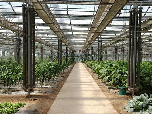 如皋市保安公司組織開展全員核酸檢測工作